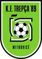 特雷普查89 U19